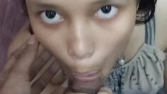 FERA MANIAK SOtong